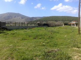 Αγροτεμάχιο - Ανάβυσσος
