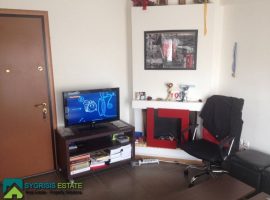 Whole Floor Apartment - Athens, Dafni • Όροφοδιαμέρισμα - Αθήνα, Δάφνη