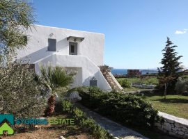Apartment- Cyclades Islands, Paros • Διαμέρισμα - Κυκλάδες, Πάρος