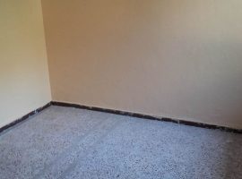 Detached House - Athens, Goudi • Μονοκατοικία - Αθήνα, Γουδί