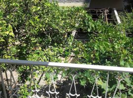 Apartment  - Athens, Goudi • Διαμέρισμα - Αθήνα, Γουδί