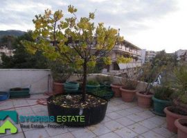 Maisonette - Athens, Holargos  • Μεζονέτα - Αθήνα, Χολαργός