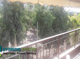 Furnished Apartment - Athens, Ilisia • Επιπλωμένο Διαμέρισμα - Αθήνα, Ιλίσια