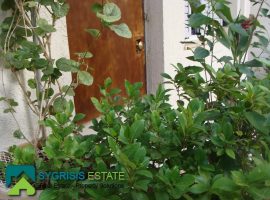 Apartment - Athens, Kessariani • Διαμέρισμα - Αθήνα, Καισαριανή