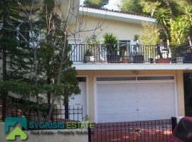 Apartment - Athens, Agios Stefanos, Agia Paraskevi • Διαμέρισμα - Αθήνα, Άγιος Στέφανος, Αγία Παρασκευή