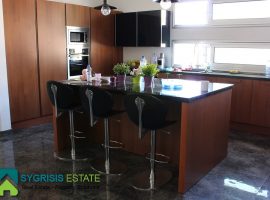 Detached House - Cyprus, Larnaca, Oroklini • Μονοκατοικία  - Κύπρος, Λάρνακα, Ορόκλινη