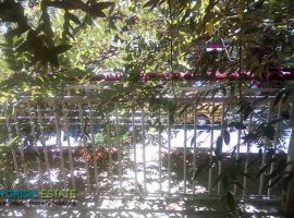 Apartment - Athens, Pagrati, Pagrati Park • Διαμέρισμα - Αθήνα, Παγκράτι, Άλσος Παγκρατίου