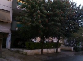 Apartment - Cyprus, Nicosia, Lycabittos • Διαμέρισμα - Κύπρος, Λευκωσία, Λυκαβηττός