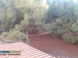 Apartment - Cyprus, Larnaca, Faneromeni • Διαμέρισμα - Κύπρος, Λάρνακα, Φανερωμένη