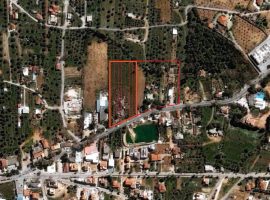 Land Lot - Attica, Mesogeia, Paiania • Έκταση - Αττική, Μεσόγεια, Παιανία