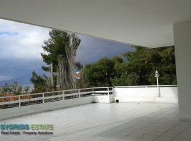 Luxury Maisonette - Athens, Kifissia, Politia • Πολυτελής Μεζονέτα - Αθήνα, Κηφισιά, Πολιτεία