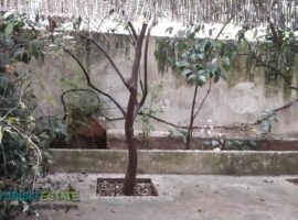 Apartment - Athens, Kypseli • Διαμέρισμα - Αθήνα, Κυψέλη