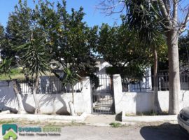 Detached House - Athens, Ano Nea Smyrni • Μονοκατοικία - Αθήνα, Άνω Νέα Σμύρνη