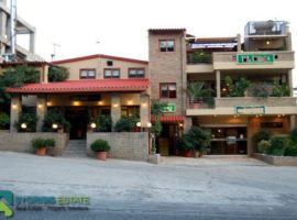 Commercial Building - Athens, Attico Alsos • Επαγγελματικό Κτίριο - Αθήνα, Αττικό Άλσος
