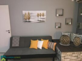 Apartment - Athens, Pagrati • Διαμέρισμα - Αθήνα, Παγκράτι