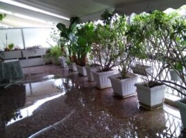 Penthouse Apartment - Athens, Pagrati • Ρετιρέ Διαμέρισμα - Αθήνα, Παγκράτι