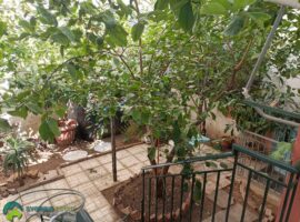 Studio Apartment - Athens, Argyroupoli • Στούντιο - Αθήνα, Αργυρούπολη